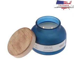 Sx-45qtb Amazonbasics Blue Fern Citrus Scented Candle 2 Wick Jar 18oz Aromatic Fragrance Home D