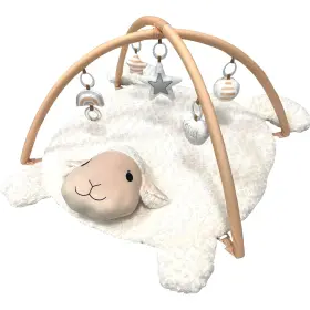 Tj8128 Carote Baby Play Mat Tummy Time With 5 Toys Washable Activity For Visual