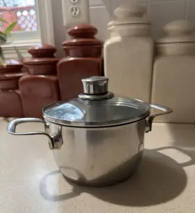 Slcl32-160 Chantal Saucepan 2 Quart Pot Pan Stainless Double Handle With Glass Lid