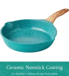Pioneer Woman 741393486902 Teal Speckle 8 Inch Frypan Nonstick Cast Aluminum