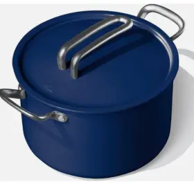 Ris-fgs-a005-01-aa1us Risa Nontoxic Nonstick Bpa-free Kitchen Stock Pot With Lid And Holders..nib