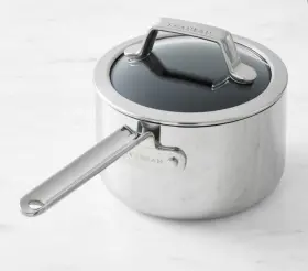 Scanpan 083421211088 Tss Stainless-steel Nonstick Saucepan New