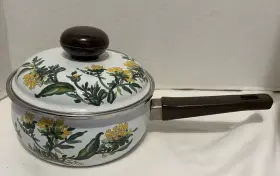 M7402 Villeroy & Boch And Botanica Saucepan Cookware Vtg W Germany Floral With Lid 1 Qt