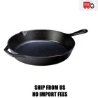 Lodge 12" Seasoned Cast Iron Skillet New. Price: $23.99.