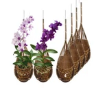 Panwa Handmade 100% Thai Bamboo Hanging Basket For Orchids, Vines, Air Pl New. Price: $52.95.