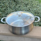 Chantal Stew Pot Saucepan 5 Qt Stainless Double Handle SLSA32-240 & Glass Lid Used. Price: $59.99.