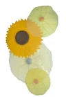 Charles Viancin Silicone Food Covers Lid Set 4 Daisy Sunflower Poppy Airtight 3D Used. Price: $21.71.