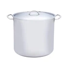 Precise Heat 65QT 12-ELEMENT T304 Stainless Steel Stockpot New. Price: $348.91.