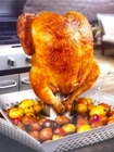 New! Parini Cookware Stainless Steel Chicken Roaster. Price: $29.95.
