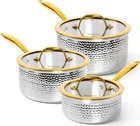 Michelangelo Triply Stainless Steel Saucepan Set, Luxury Hammered New. Price: $166.23.