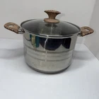 Bergner Stainless Steel Vitro Halogen 6L Wooden Handle Pot With Glass Lid S0174 Used. Price: $29.74.