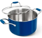 Michelangelo 6 Qt Stainless Steel Induction Stock Pot With Lid Blue Exterior New. Price: $39.16.