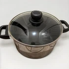 Innova Ultrex Gourmet Quality Non-stick Pot With Glass Lid Used. Price: $30.00.