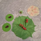Charles Viancin Lot Silicone Lids, Drink Covers & Bottle Stopper Used. Price: $25.00.