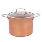 Concord 7 Qt Non Stick Stock Pot Casserole Copperamic Series Cookware In New. Price: $55.35.