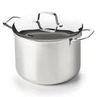 Alva Maestro 8QT Stainless Steel Stock Pot With Lid, Easy-clean & Durable Soup New. Price: $199.00.