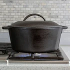 Lodge L8DOL3 5 Quart Cast Iron Dutch Oven New. Price: $65.99.