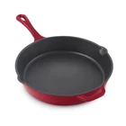 Dash Zakarian 11" Nonstick Cast Iron Skillet W/ Pour Spouts - Chef Gz New. Price: $83.32.