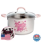Paris Hilton Stainless Steel Stock Pot Iconic Color Changing Thats Hot Heat New. Price: $54.66.