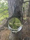 10 Polished Lodge Blacklock Cast Iron Edition Made In Usa New. Price: $140.00.