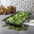 (6 Pans) Carlisle 10200B03 Storplus Polycarbonate Food Full-size, 2.5" New. Price: $30.00.
