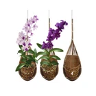 Panwa Handmade 100% Thai Bamboo Hanging Basket For Orchids, Vines, Air Pl New. Price: $29.95.