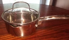 Thomas Rosenthal Stainless Steel 1 Liter Cook & Pour Saucepan W/ Glass Lid (53) Used. Price: $19.99.